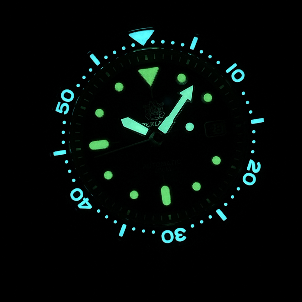 STEELIDVE SD1973 سليم السلاحف  - مراجعة Seiko Watch Prospex وسعره