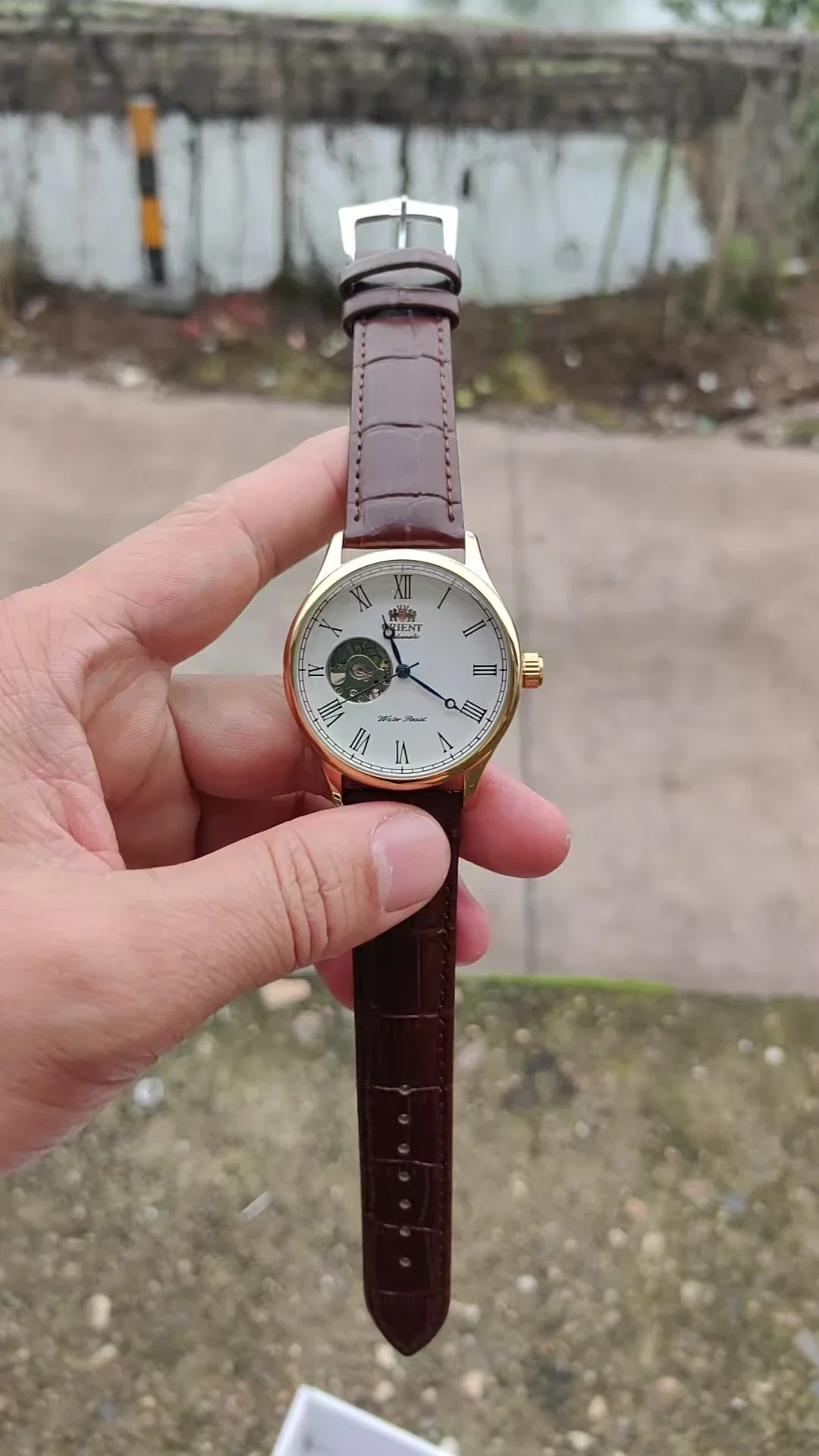 ساعة يد ميكانيكية بهيكل عظمي م - مراجعة Seiko Watch Presage وسعره